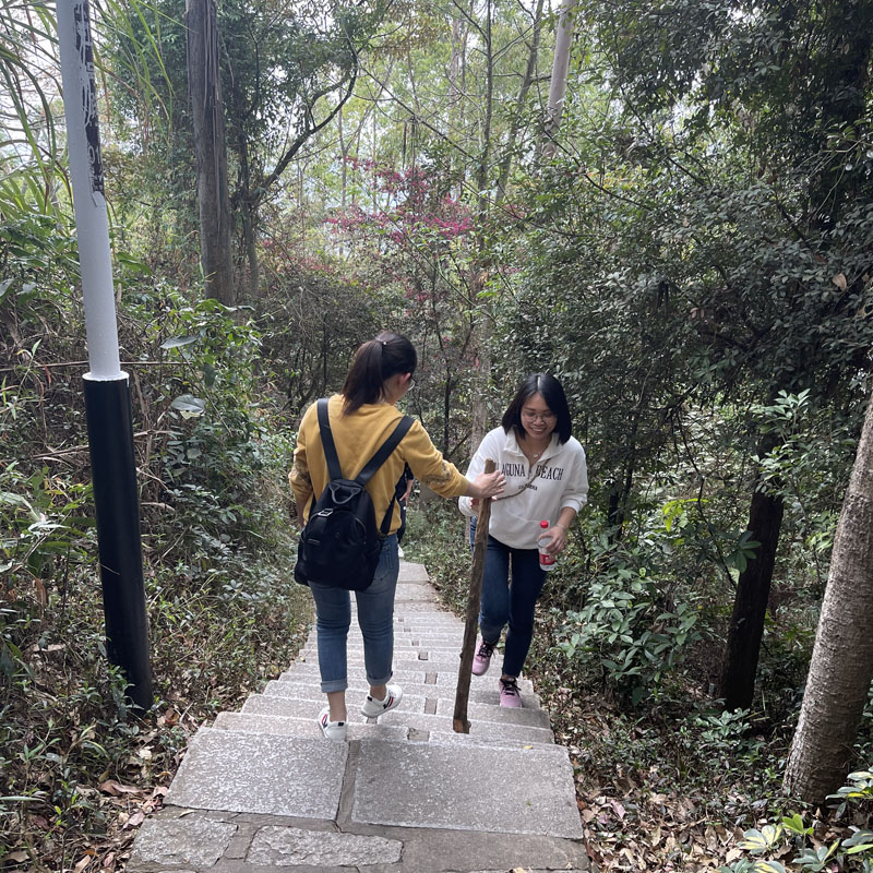 登山徒中（zhōng）