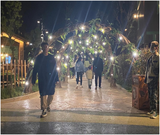 文（wén）旅夜景燈光的魅力