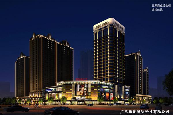 肇慶華生中心夜（yè）景照明工程（chéng）
