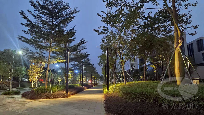 東莞中集智穀產業園景觀照明工程夜景圖