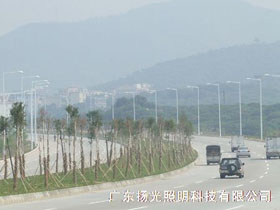 東莞環（huán）湖路道路照明（míng）工程